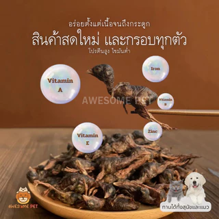 นกกระทาฟรีซดราย (Baby Quail Freeze-Dried) บำรุงผิวหนังและเส้นขน สำหรับหมา และแมว ขนมสัตว์เลี้ยง อาหารสัตว์เลี้ยง