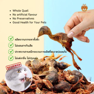 นกกระทาฟรีซดราย (Baby Quail Freeze-Dried) บำรุงผิวหนังและเส้นขน สำหรับหมา และแมว ขนมสัตว์เลี้ยง อาหารสัตว์เลี้ยง