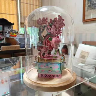 ส่งด่วนกทม. 🛵 โดมแก้ว ฐานไม้ Glass Dome โชว์ของที่ระลึก โมเดล ดอกไม้ ตกแต่งบ้าน โดมพระ