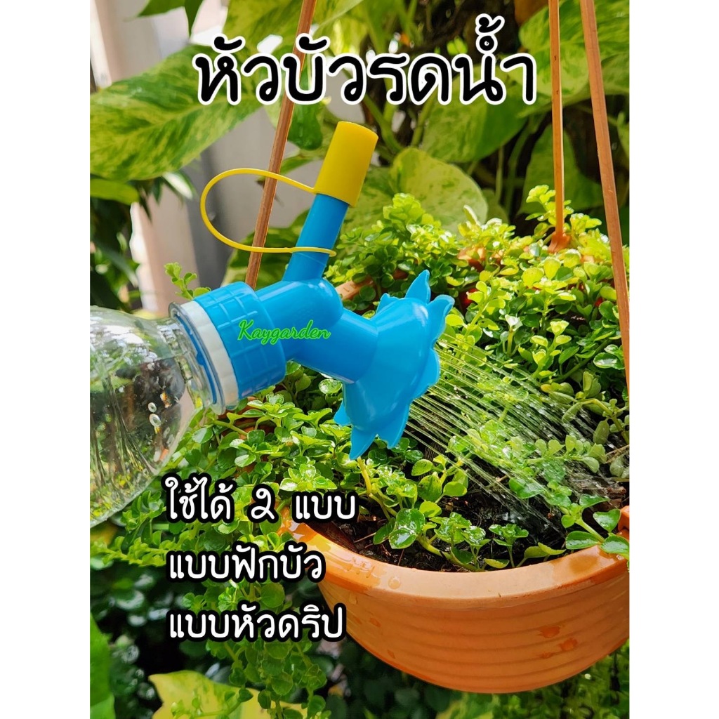 หัวฝักบัวรดน้ำ 2 in 1 ขนาดเล็ก มีทั้งหัวบัวและหัวดริป สำหรับติดขวดน้ำอัดลม คละสี