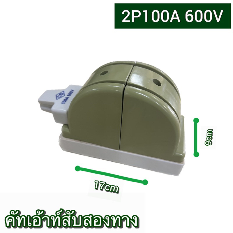 คัตเอาท์หลังเต่า CS คัตเอาท์สับสองทาง 2P 100A สะพานไฟ ทรงหลังเต่า