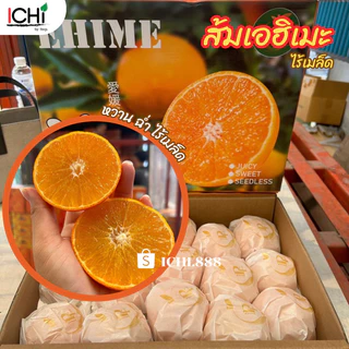 ส้ม 1 Kg. ส้มไต้หวัน ส้มจุก ส้มแมนดารินฯลฯ