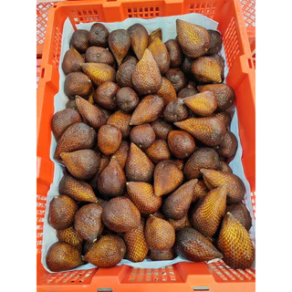 สละอินโดแท้ นำเข้า (1kg)หวานกรอบ ปอกง่ายไม่มีหนาม พร้อมส่ง