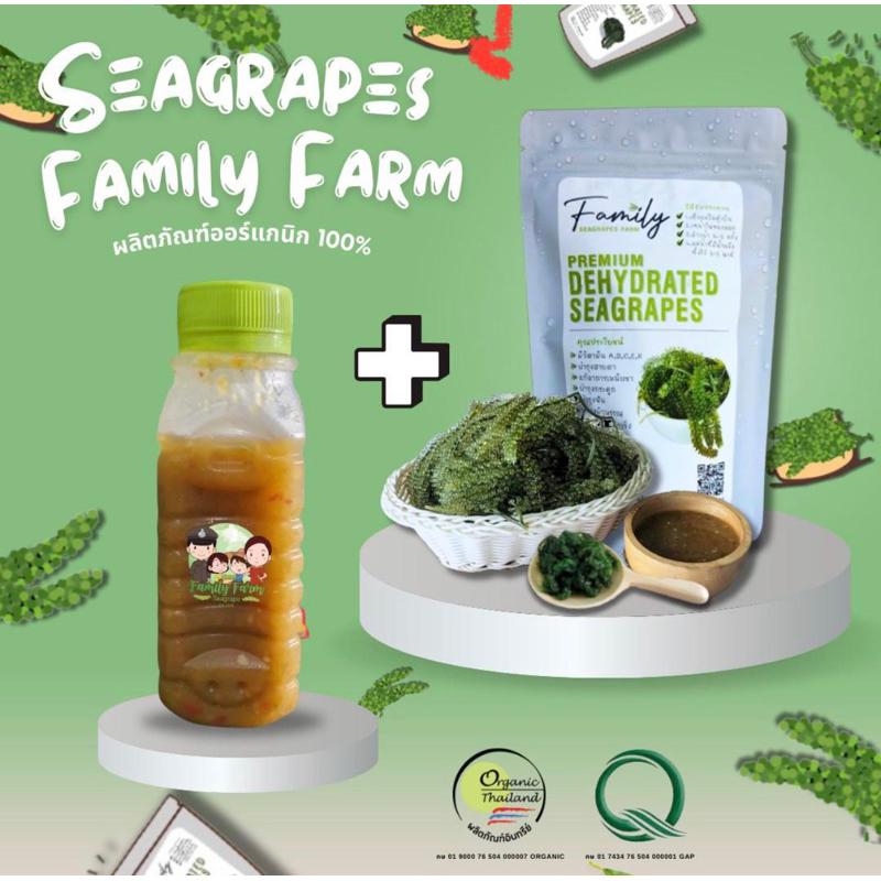 สาหร่ายพวงองุ่นคืนรูป(ไม่ใช่สด) 1ซอง+น้ำจิ้ม 1ขวด(100กรัมขยายได้300-350กรัม)