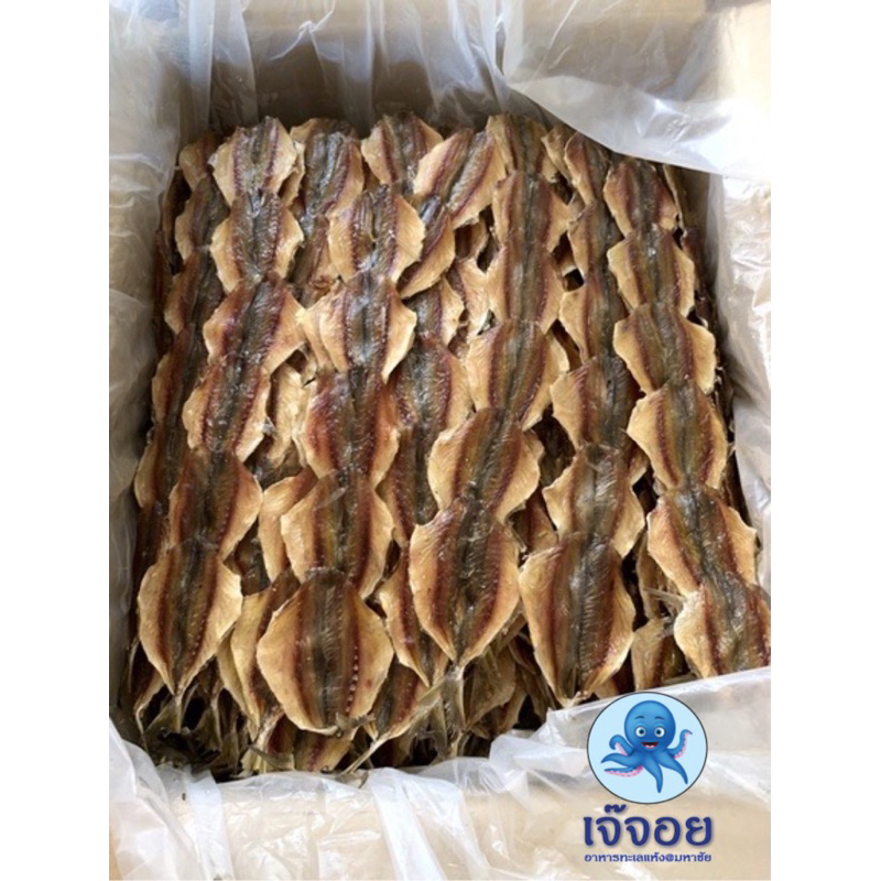 ปลาข้างเหลืองไม่งา ปลาหวานไม่งา 🐟 ขนาด 200-500 กรัม