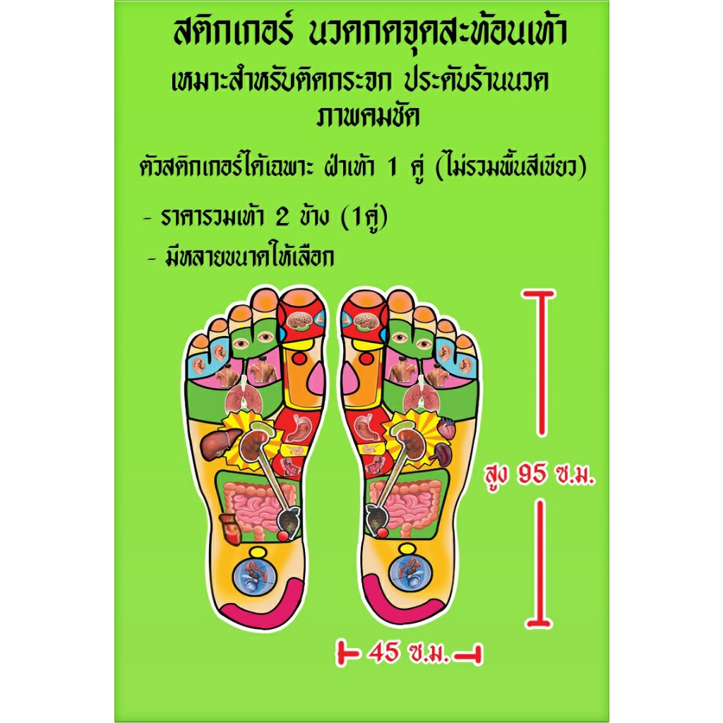 สติกเกอร์ นวดกดจุดสะท้อนเท้า 1 คู่ เหมาะสำหรับติดกระจก ประดับร้านนวด ตัวสติกเกอร์ได้เฉพาะเท้า (ไม่รวมพื้นสีเขียว)
