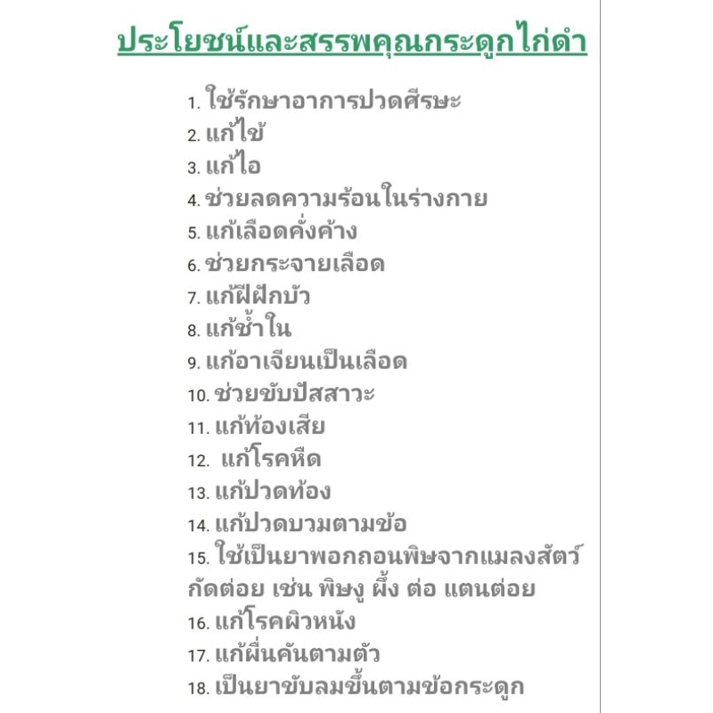ต้นกระดูกไก่ดำ​ ปีกไก่ดำ​ ขาไก่ดำ สมุนไพรลดอักเสบ​ลดปวด ยา รักษา บำรุง ป้องกัน ไขข้อ  ดิน ปุย เม็ด กระถาง ต้นไม้ ช้ำใน ราคา ถูกที่สุด ดีลบีเคเค แกลเลอรีภาพที่ 4