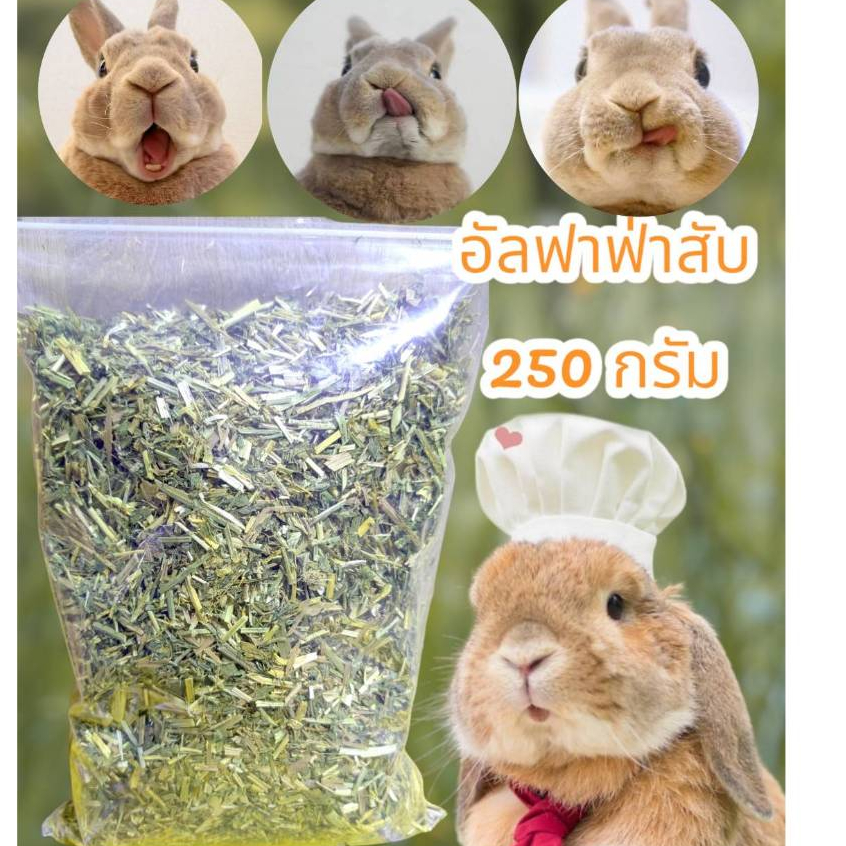 อัลฟาฟ่าสับ 250 กรัมหญ้ากระต่าย หนูแกสบี้ แฮมเสตอร์ เฟอร์เรท ชินชิล่า แพรี่ด๊อก เต่าบก by ohojeed