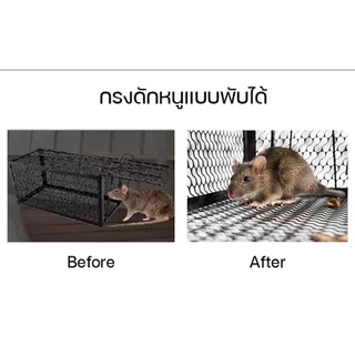 MUSCLE COW กรงดักหนูสปริง 2ตัวโครงหนา กรงดักหนู กรงดักหนูแบบมีโครง กรงดักหนูสปริงคู่ กรงดักหนูนา กรงดักหนูเล็ก