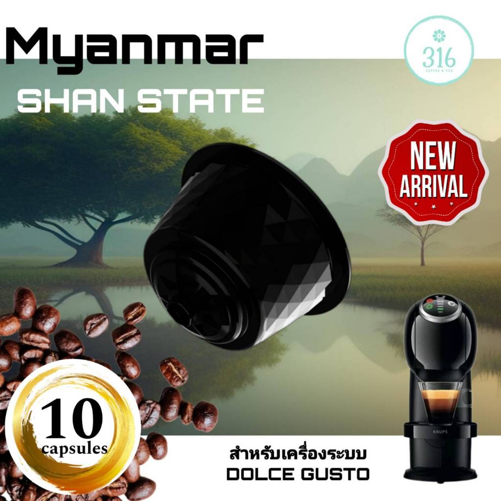 กาแฟเเคปซูล Myarmar Shan State สำหรับเครื่อง Dolce Gusto จำนวน 10 แคปซูล