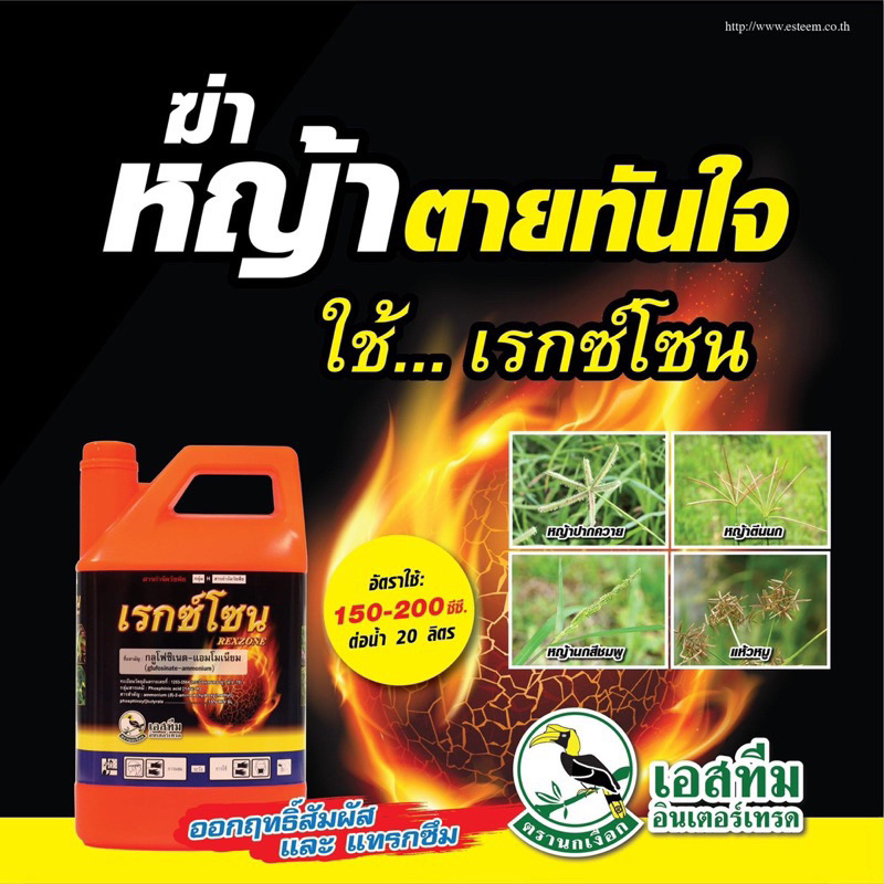 เรกซ์โซน (กลูโฟซิเนต-แอมโมเนียม 15% SL) รูปที่ 4
