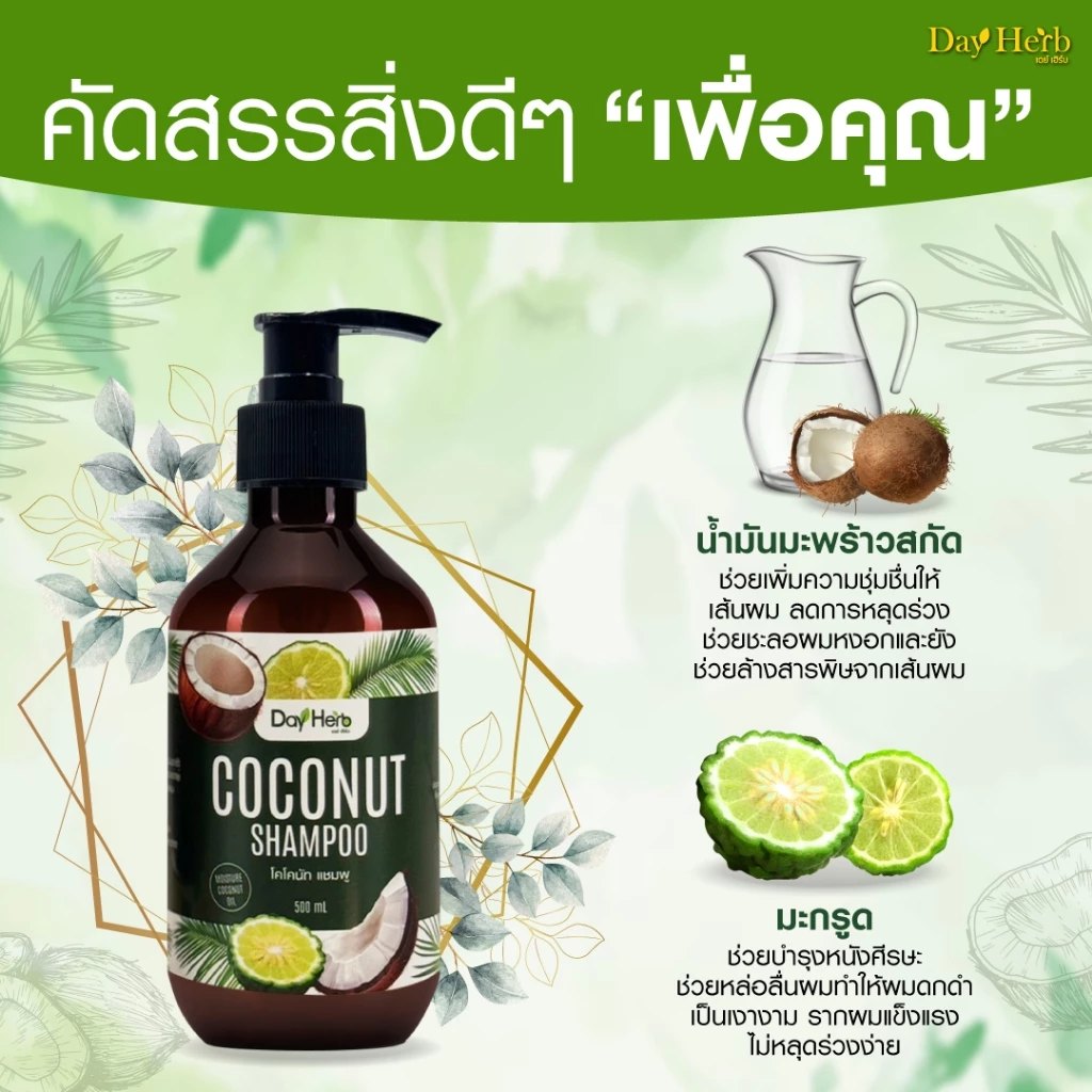 แชมพูมะพร้าว เดย์เฮิร์บ ลด ผมร่วง ผมบาง thumbnail 10