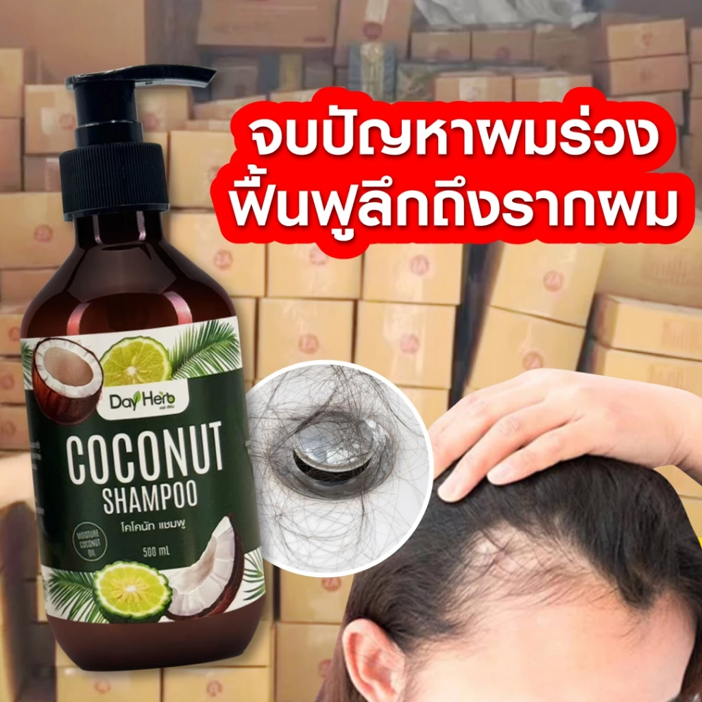 แชมพูมะพร้าว เดย์เฮิร์บ ลด ผมร่วง ผมบาง thumbnail 3