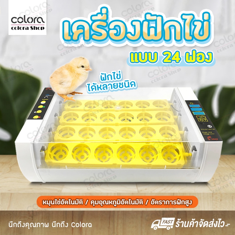 เครื่องฟักไข่ ตู้ฟักไข่ ตู้อบไข่ เครื่องฟักไข่อัตโนมัติ ตู้ฟักไข่ไก่ ฟักไข่ไก่ ไข่เป็ด ไข่นก24ฟอง