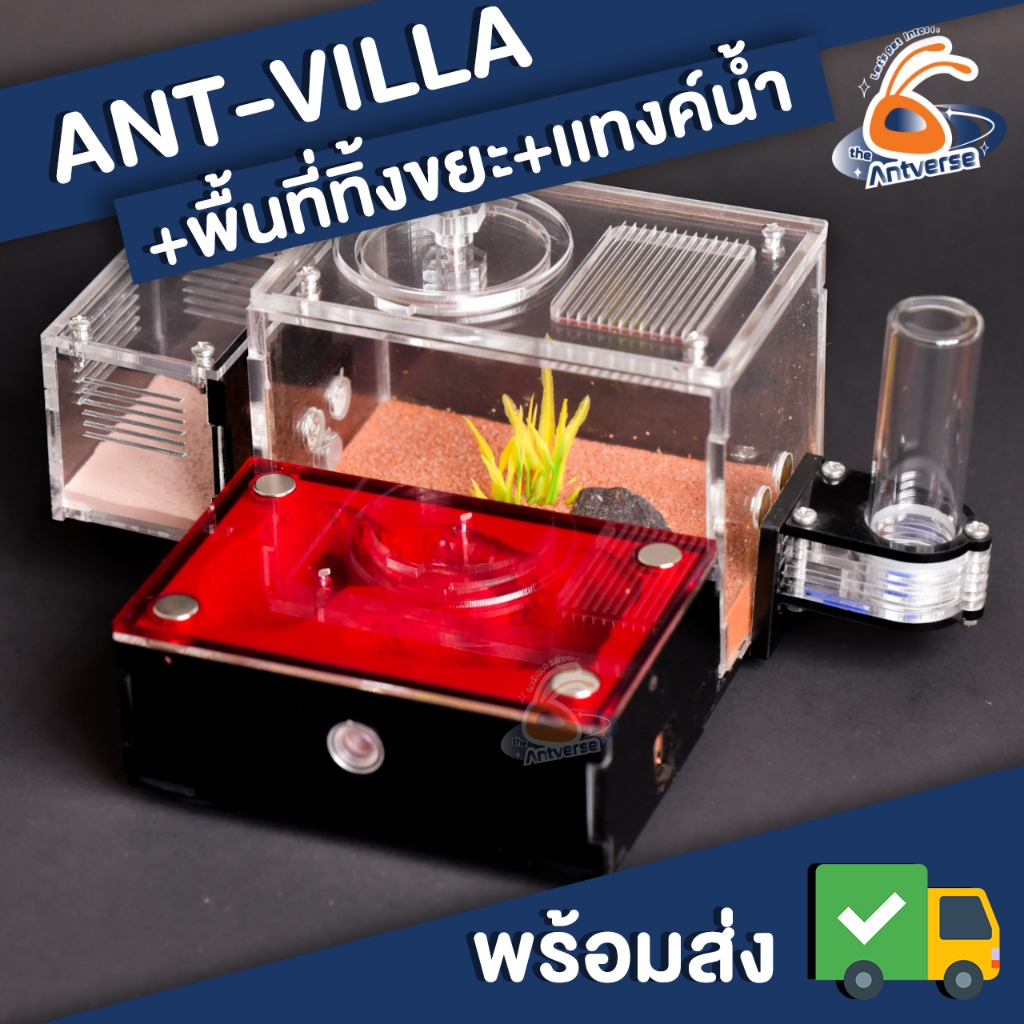#รังมด
#AntVillaPlus
#พื้นที่ทิ้งขยะ
#แทงก์น้ำ
#บ้านมด