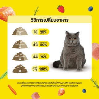 Lifemate Grain Free อาหารแมวโต สูตรไก่และปลา ขนาด 1.3 กิโลกรัม (C22)