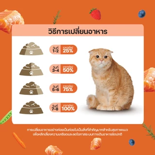 Lifemate Grain Free อาหารแมวโต สูตรปลาแซลมอน ขนาด 1.2 กิโลกรัม (C32)