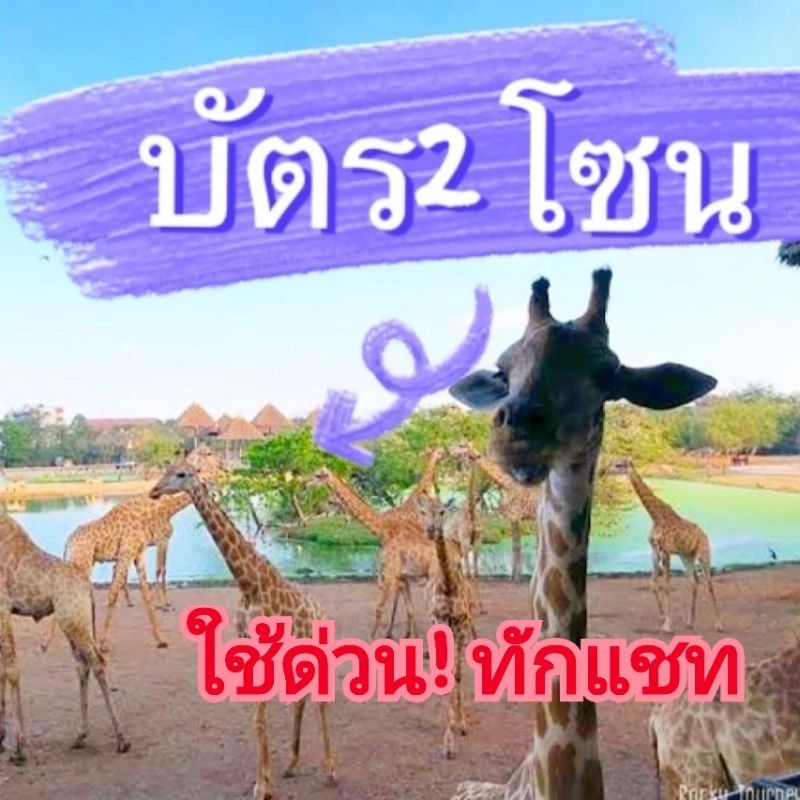 🔥 ใช้ด่วน บัตรซาฟารีเวิลด์ Safari world **เข้า 2 โซน ดูได้ทุกโชว์✔️