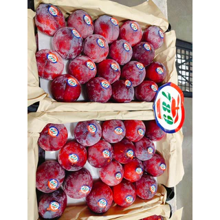 ลูกไหน พลัม นำเข้า (PLUMS) (1kg)เนื้อเหลือง ผิวแดงผิวดำตามล๊อก