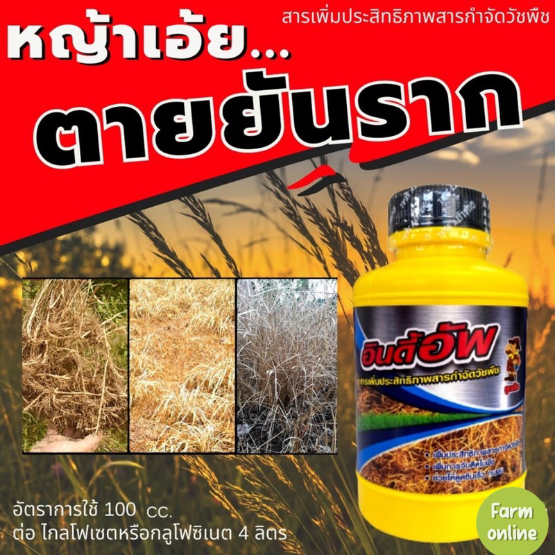อินดี้อัพ 100 ซีซี #สารเสริมประสิทธิภาพ#ผสมยาฆ่าหญ้า