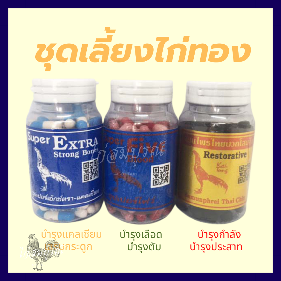 ชุดเลี้ยงไก่ทอง ไก่ทองอาหารเสริม