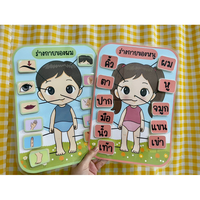 สื่อการสอนร่างกายของหนู เกมการศึกษาปฐมวัย 👦🏻👧🏻l(ขออนุญาตรับออเดอร์ 2 ชิ้น ขึ้นไปค่ะ)