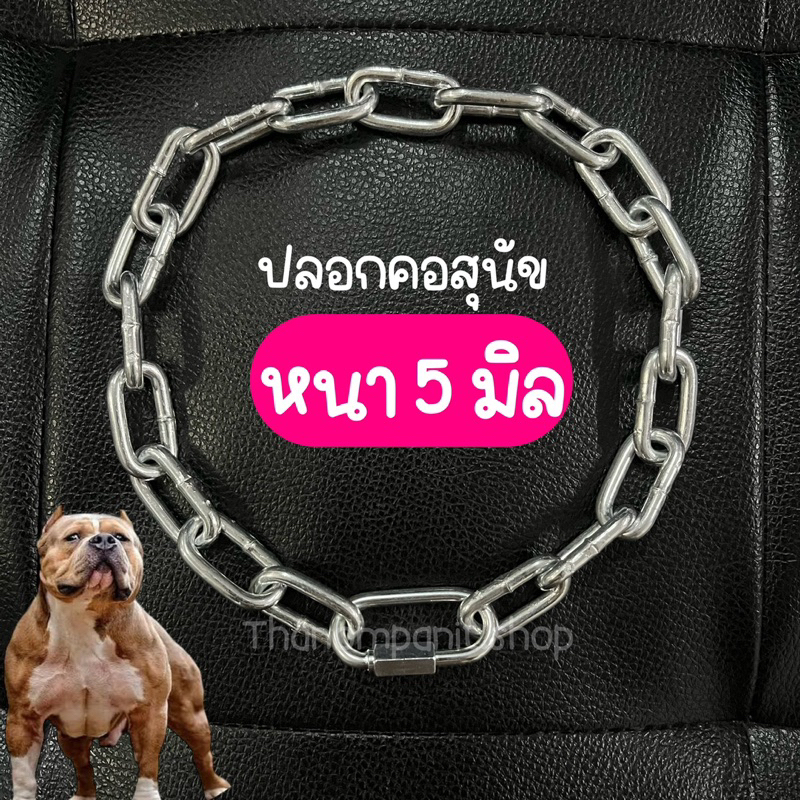 (5มิล-เหล็กชุบ) ปลอกคอหมา ปลอกคอสุนัข หนา 5 มิล ปรับระดับได้ (มีราคาส่ง)