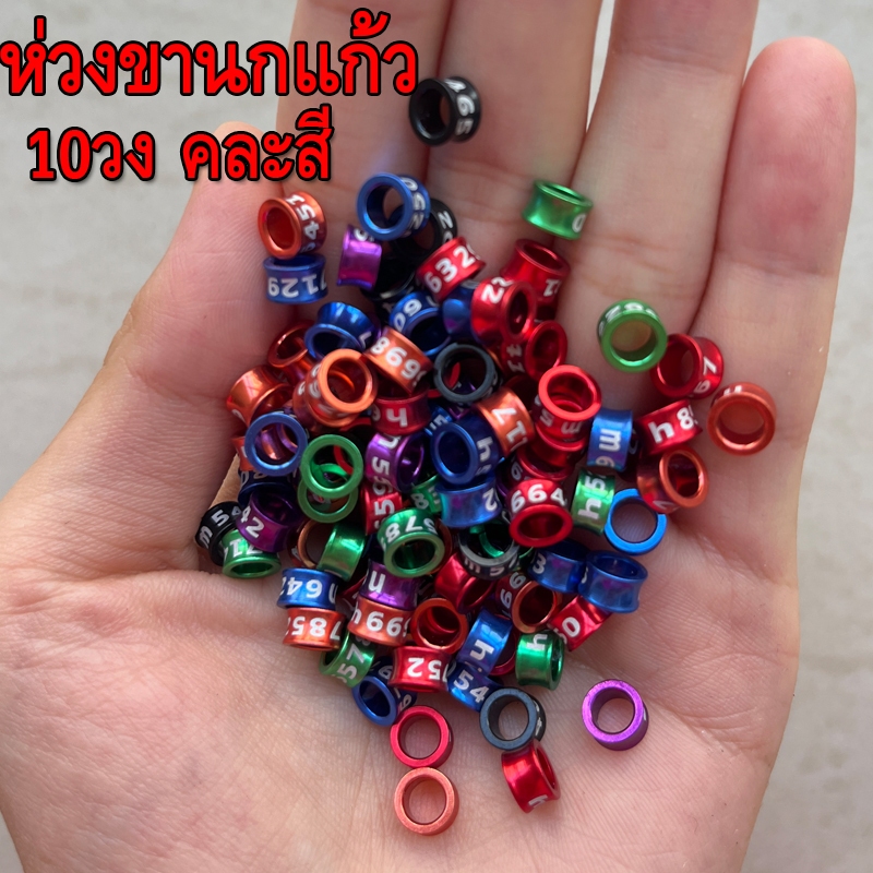 คละสี ห่วงขานกแก้ว ห่วงขานก นกกรงหัวจุก 10วง 3-8มม ทำจากอลูมิดนียมน้ำหนักเบา พร้อมส่งในไทย