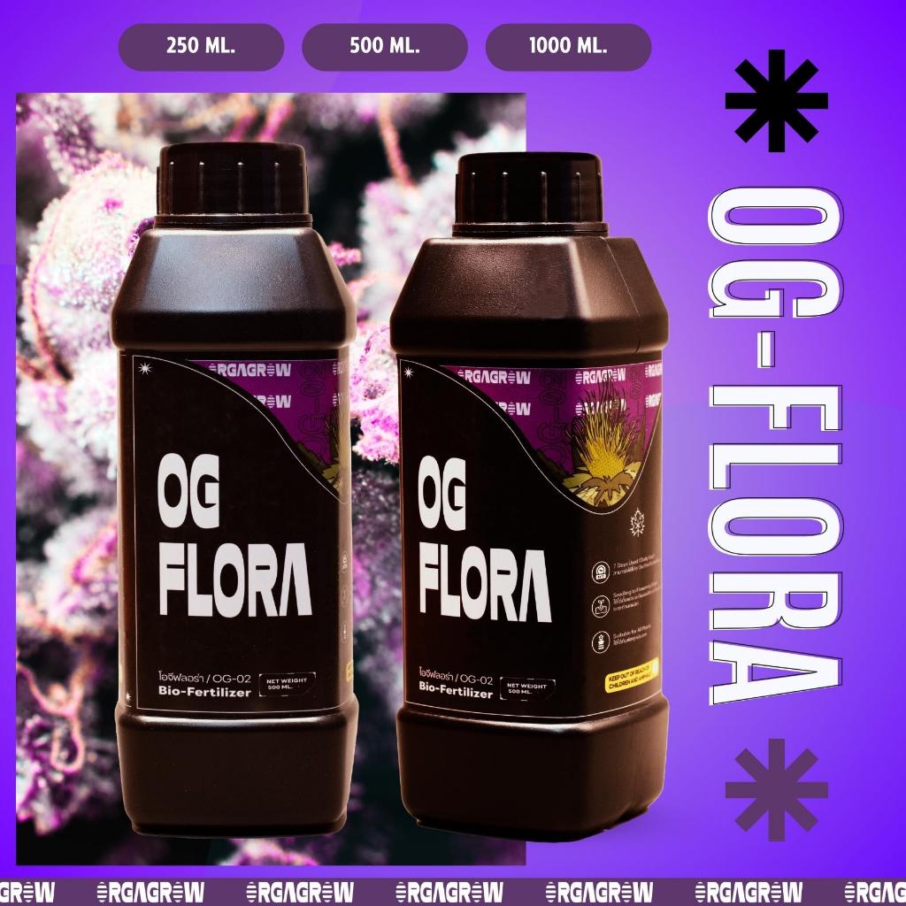 ความลับฟาร์มใหญ่❗❗ปุ๋ยกัญชากัญชง เข้มข้น ปลอภัยต่อสิ่งแวดล้อม OG Flora ปุ๋ยน้ำ ทำดอก 🌺