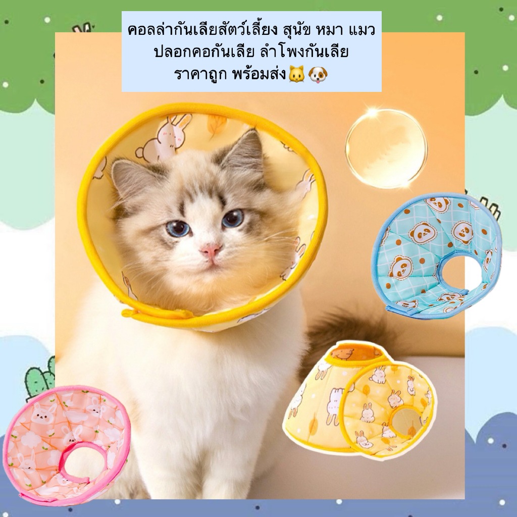 AL-484 คอลล่ากันเลียสัตว์เลี้ยง สุนัข หมา แมว ปลอกคอกันเลีย ลำโพงกันเลีย ราคาถูก พร้อมส่ง🐱🐶