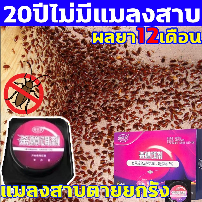 นำเข้าจากญี่ปุ่น ยากำจัดแมลงสาบ 6ชิ้น บ้านแมลงสาบ กำจัดแมลงสาบ นำกลับมาใช้ใหม่ได้ ที่ดักแมลงสาบ บล็อคแคปซูลฆ่าแมลงสา