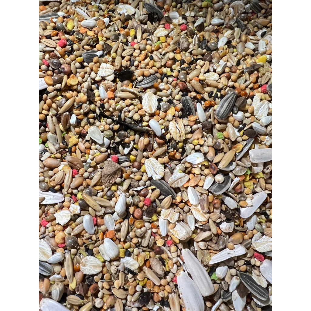 อาหารนกแก้ว สูตรเพิ่มน้ำหนัก นกกำลังพักฟื้น 500/1000กรัม