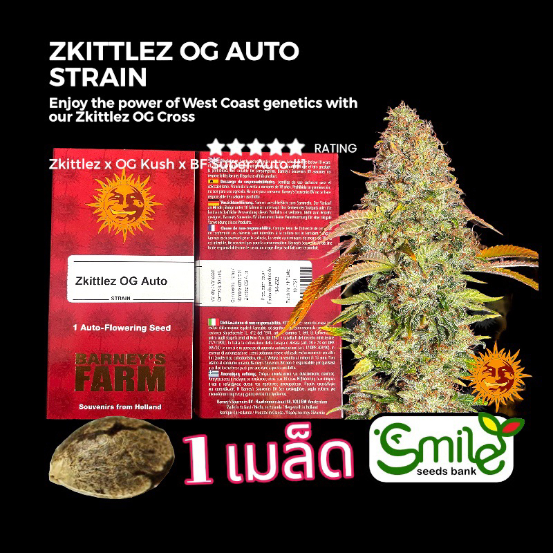 เมล็ดกัญชา Zkittlez OG (Auto) - Barney’s Farm