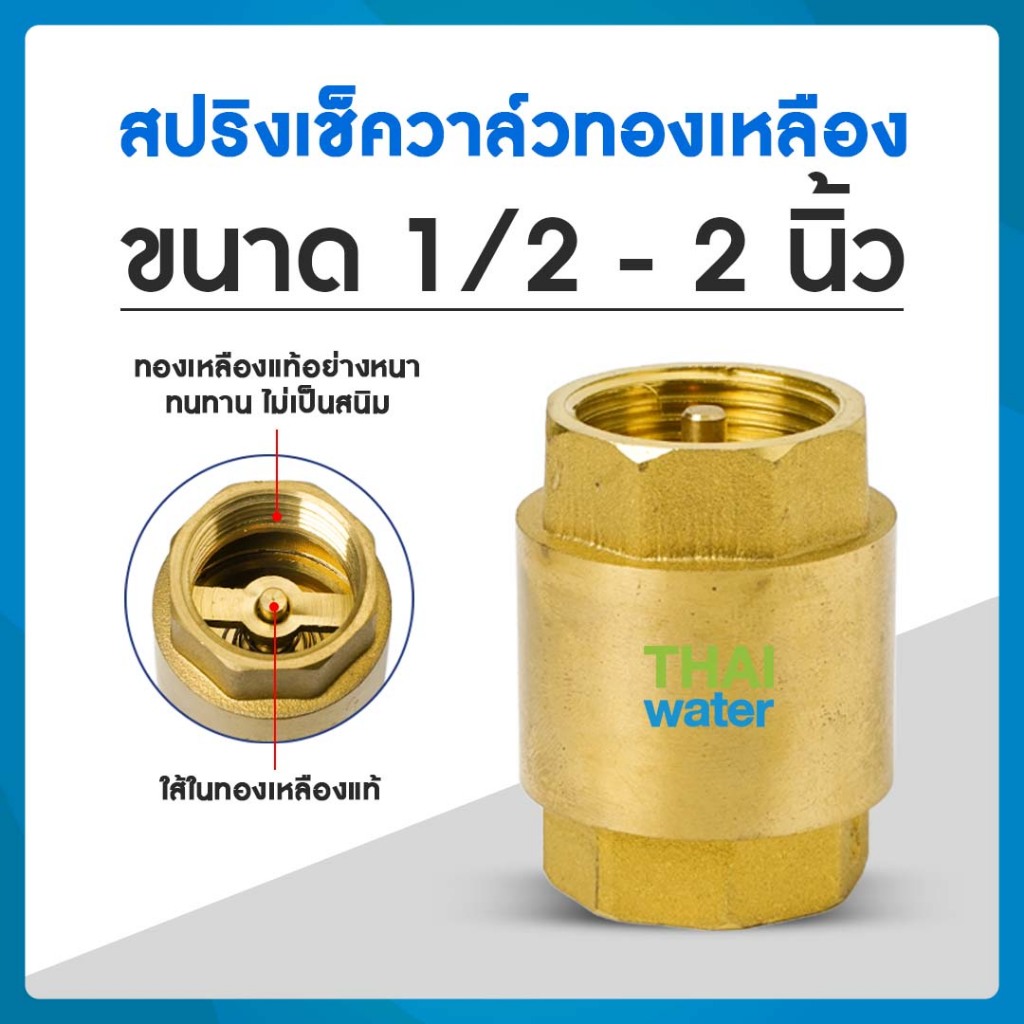 สปริงเช็ควาล์วทองเหลือง เช็ควาล์ว เช็ควาล์วทองเหลือง