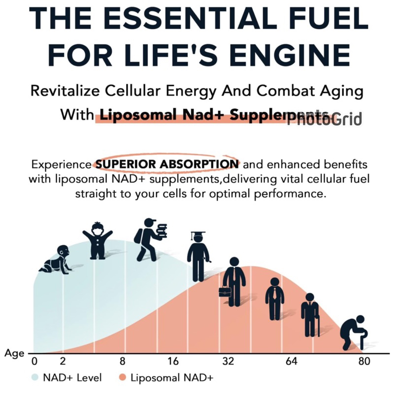 LIPOSOMAL NAD1600 MG‼ดูดซึมได้ดีขึ้น 20 เท่า‼ชะลอวัย รูปที่ 5