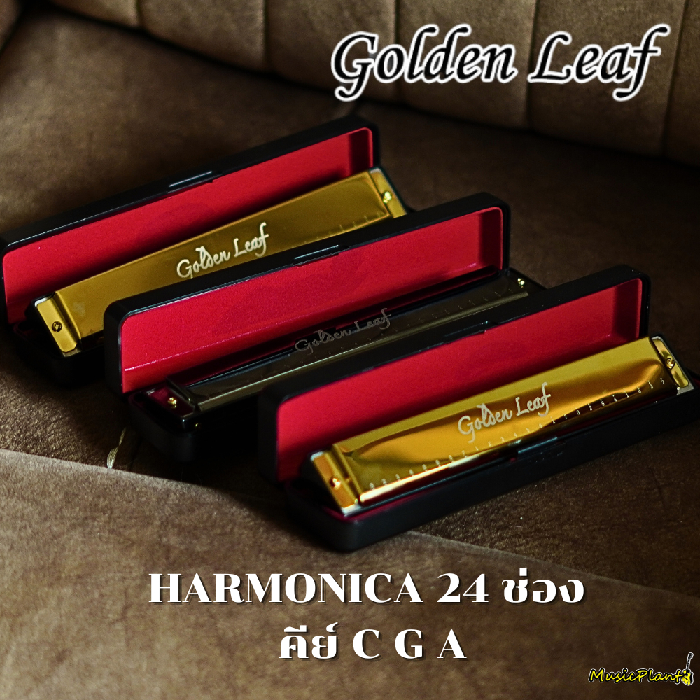Golden Leaf - ฮาร์โมนิก้า ขนาด 24 ช่อง คีย์ C / G / A  Tremolo Harmonica