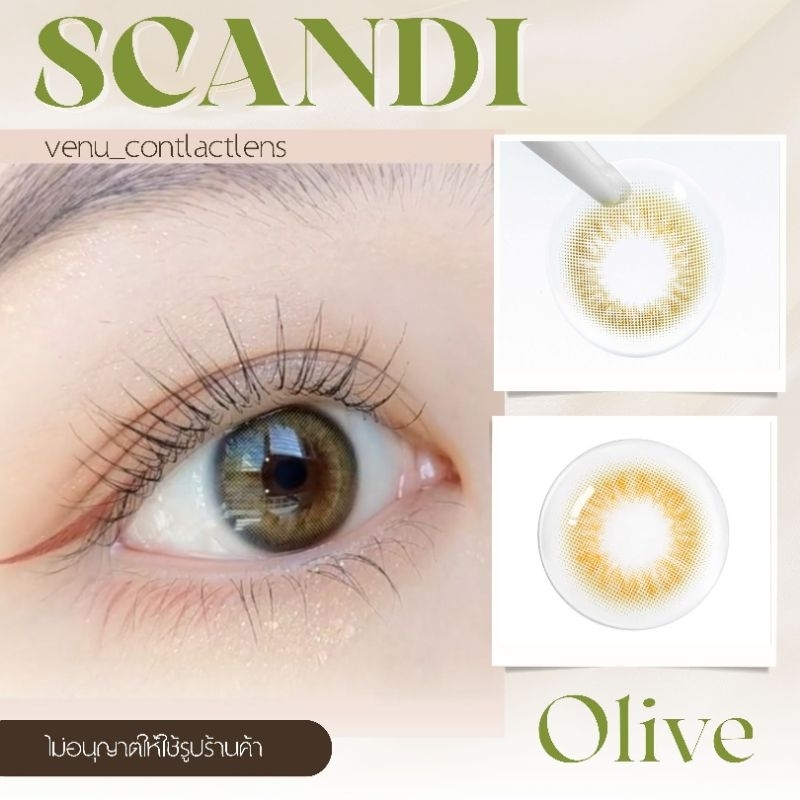 คอนแทคเลนส์ Scandi Olive / ยี่ห้อ Gaezz Secret ; Color Olive ( ค่าสายตา 50 -1000 )