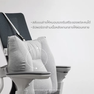 mr.big หมอนรองหลังรุ่น REBACKA