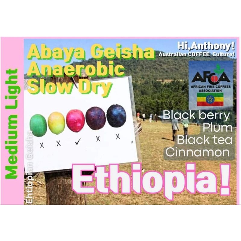 กาแฟที่ชนะการประกวด AFCA Ethiopia Abaya Geisha ASD