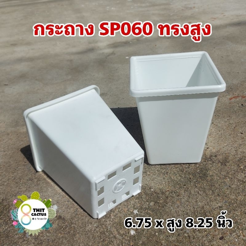 // กระถาง 6 นิ้ว (6.75 นิ้ว) //ทรงสูง// สี่เหลี่ยม ขาว //SP060// พลาสติก ต้นไม้