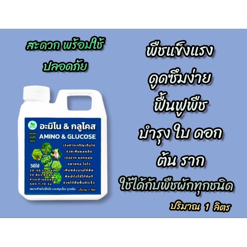 กรดอะมิโน บวก กลูโคส บำรุงพืช สารบำรุงพืช