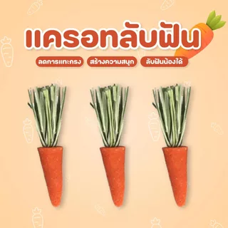 [ลดการกัดกรง] ของเล่นสำหรับลับฟัน ของเล่นติดกรง เพื่อสุขภาพฟันที่ดีของแฮมสเตอร์และสัตว์ฟันแทะทุกชนิด