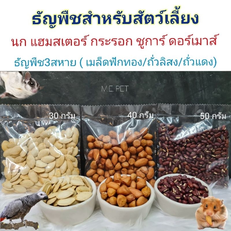 ธัญพืช3สหาย (เมล็ดฟักทอง/ถั่วลิสง/ถั่วแดง เกรดอาหารสัตว์) สำหรับนก แฮมสเตอร์ กระรอก ชูการ์