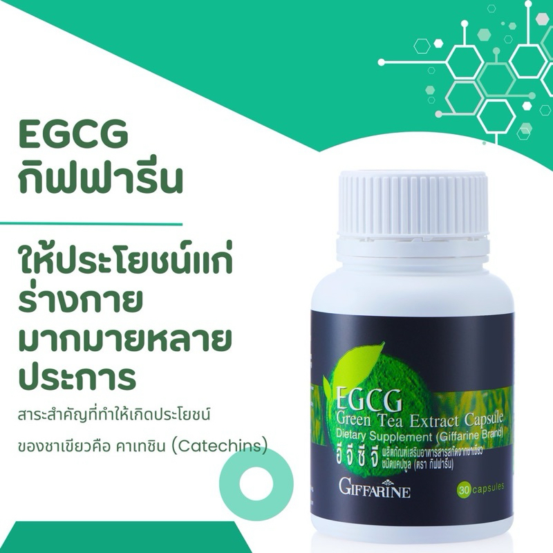EGCG อี จี ซี จี กิฟฟารีน