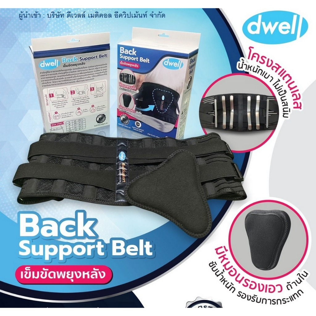 (ขนาดอยู่หน้า 2) Dwell Back Support โครงสแตนเลส น้ำหนักเบา ไม่เป็นสนิม มีหมอนลองเอว รองรับแรงกระแทก