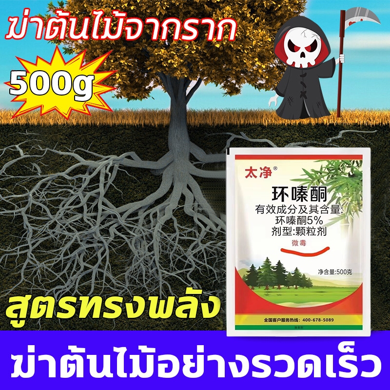 😈ฆ่าต้นไม้จากราก😈 ยาฆ่าต้นไม้ใหญ่ 1วันรากเน่าเสีย ยากําจัดต้นไม้ สารกําจัดกอไผ่ ยาฆ่าตอไม้ ยาฆ่าไผ่ ใหญ่500g