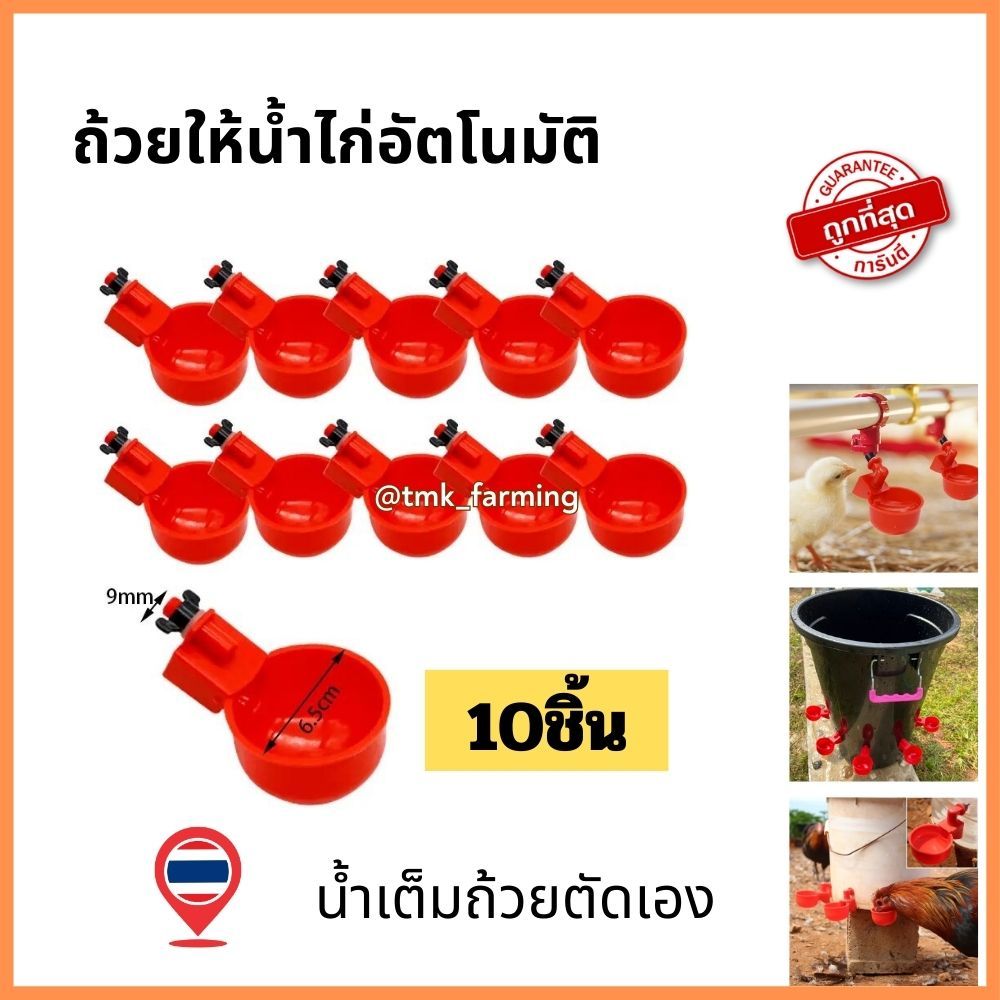 ถ้วยให้น้ำไก่อัตโนมัติ​ น้ำเต็มถ้วยตัดเอง 10ชิ้น ถูกที่สุด