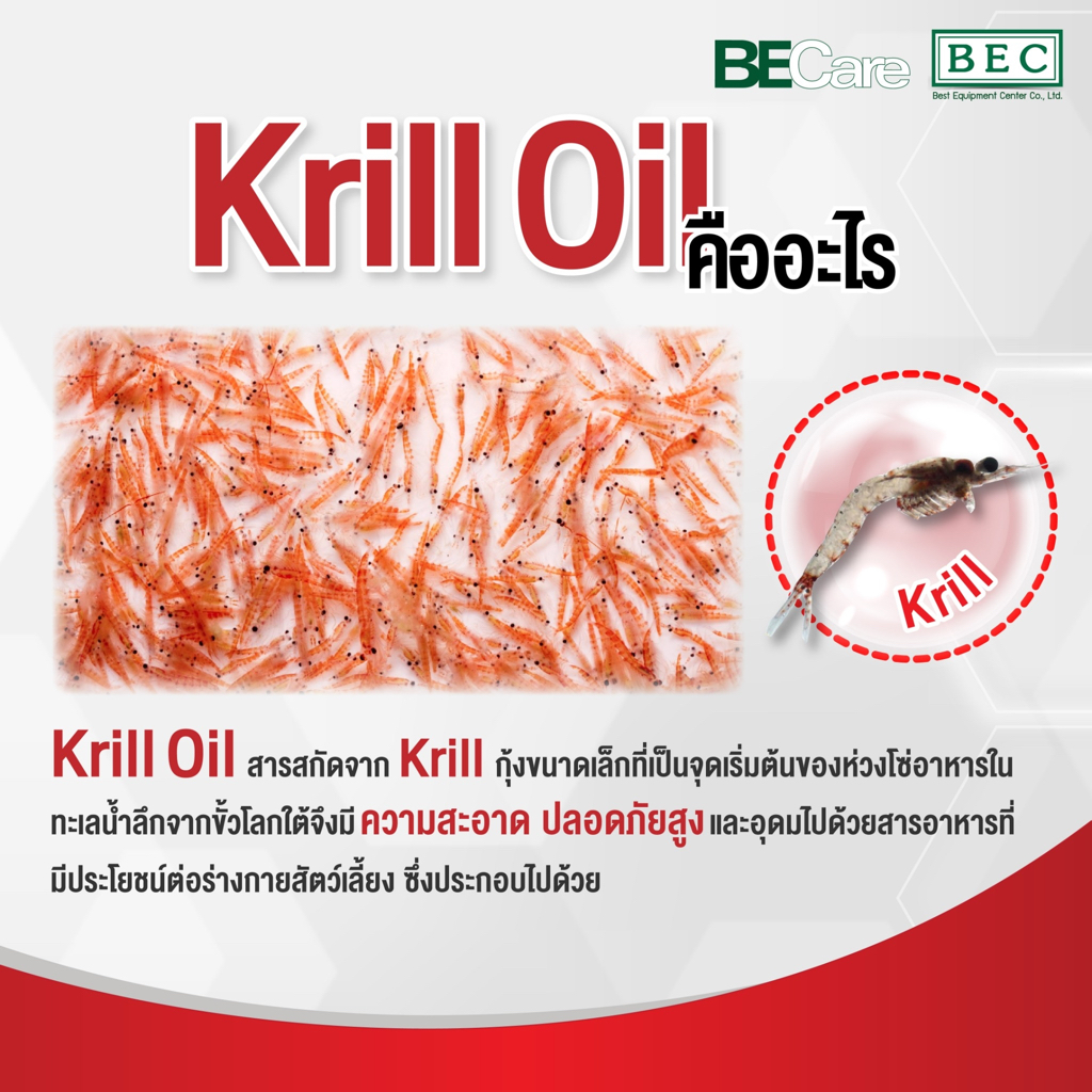 Asta Coat [แท้💯] อาหารเสริมบำรุงร่างกาย ช่วยลดการอักเสบ บำรุงข้อ/ขน/หัวใจ/สายตา/สมอง จาก Krill Oil คุณภาพสูง (AstaCoat) - รูปที่ 3