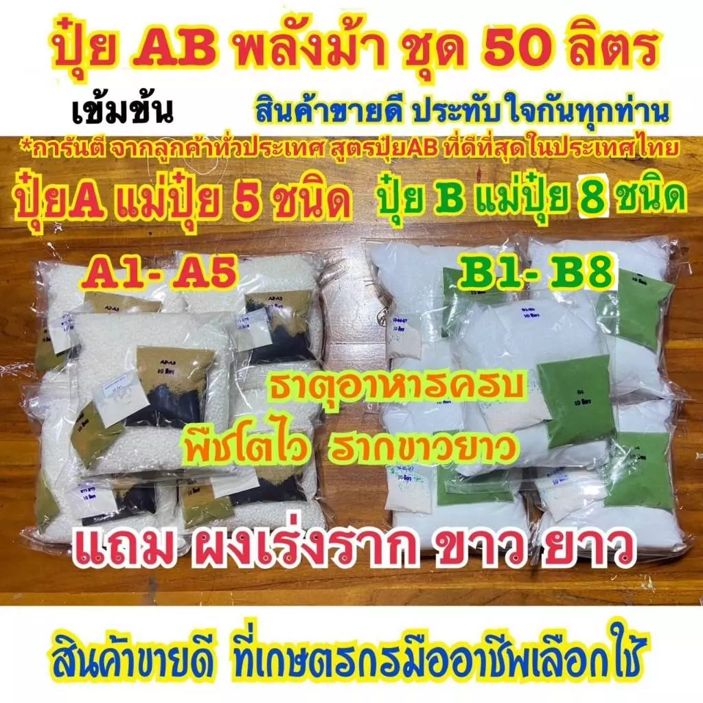 ปุ๋ยAB ชุด50ลิตร แถมชามะนาว2ขวด สูตรพลังม้า ผักไฮโดรโปนิกส์ น้ำวนน้ำนิ่ง ผักสลัด ผักไทย จีนและพ่นทางใบพืชทุกชนิด เข้มข้น