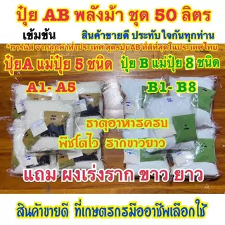 ปุ๋ยAB ชุด50ลิตร แถมชามะนาว2ขวด สูตรพลังม้า ผักไฮโดรโปนิกส์ น้ำวนน้ำนิ่ง ผักสลัด ผักไทย จีนและพ่นทางใบพืชทุกชนิด เข้มข้น
